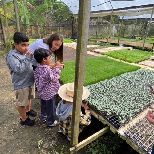 Crianças participam de vivência terapêutica na zona rural em ação da Prefeitura de VR
